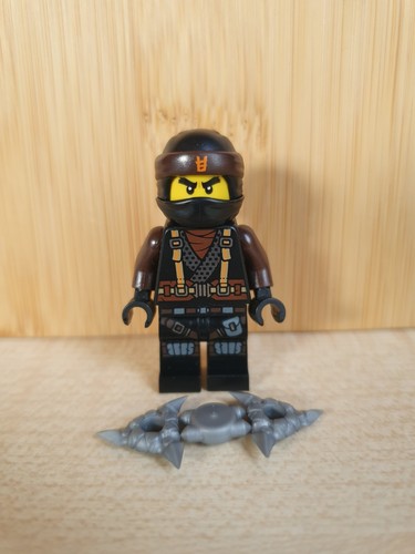 Lego ninjago dragon masters - ninjago,